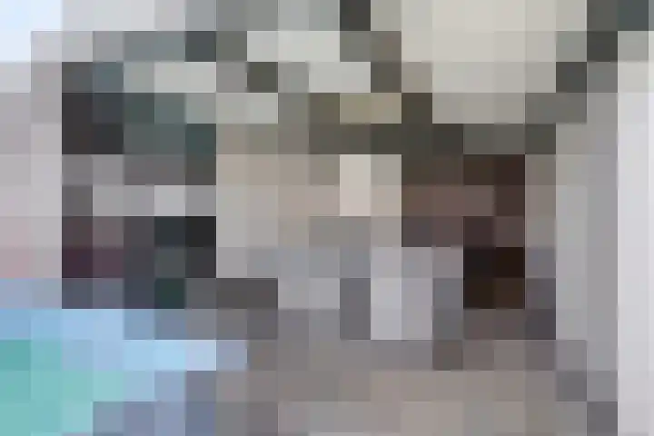 Bakkerstraat 53 Reusel thumbnail 37