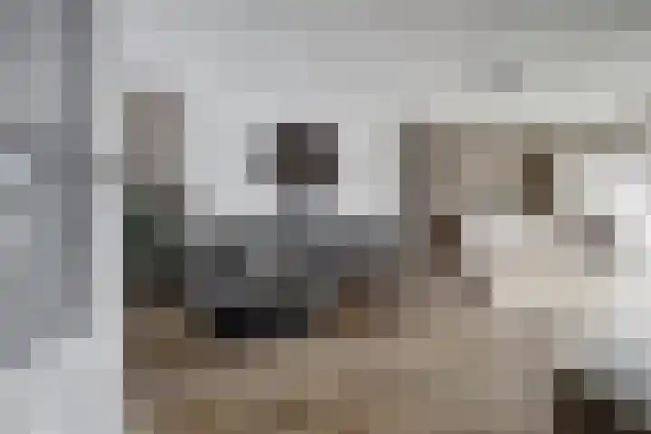 Bakkerstraat 53 Reusel thumbnail 8