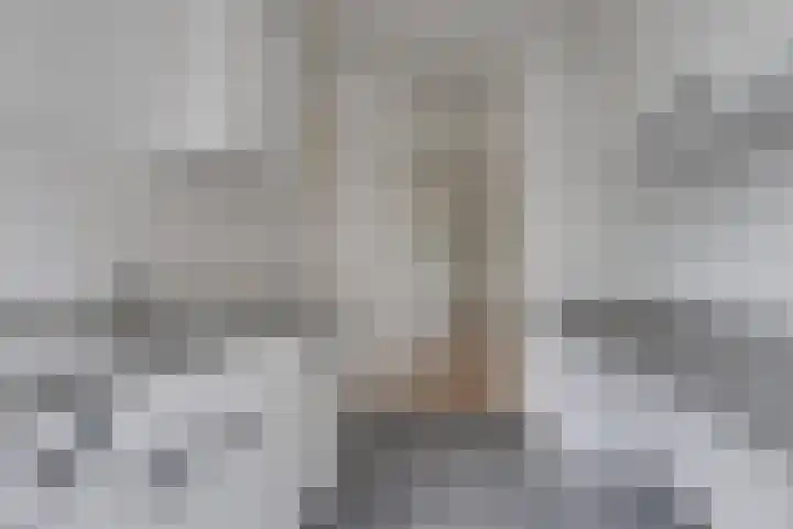 Bakkerstraat 55 Alkmaar thumbnail 10