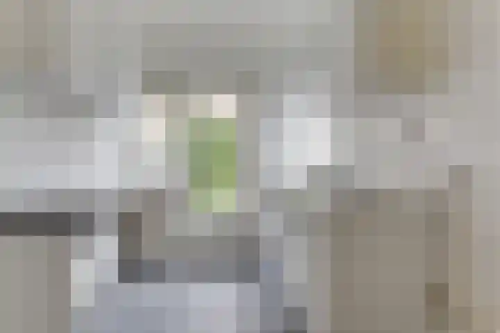 Bakkerstraat 55 Alkmaar thumbnail 9