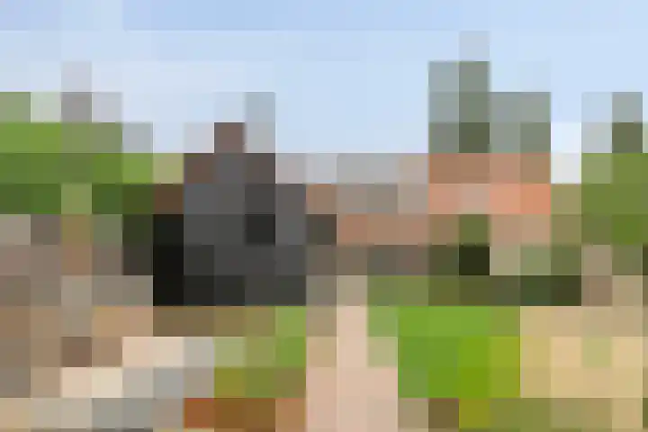 Bakkerstraat 57 Reusel thumbnail 12