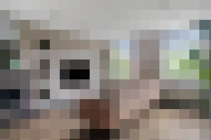 Bakkerstraat 57 Reusel thumbnail 4