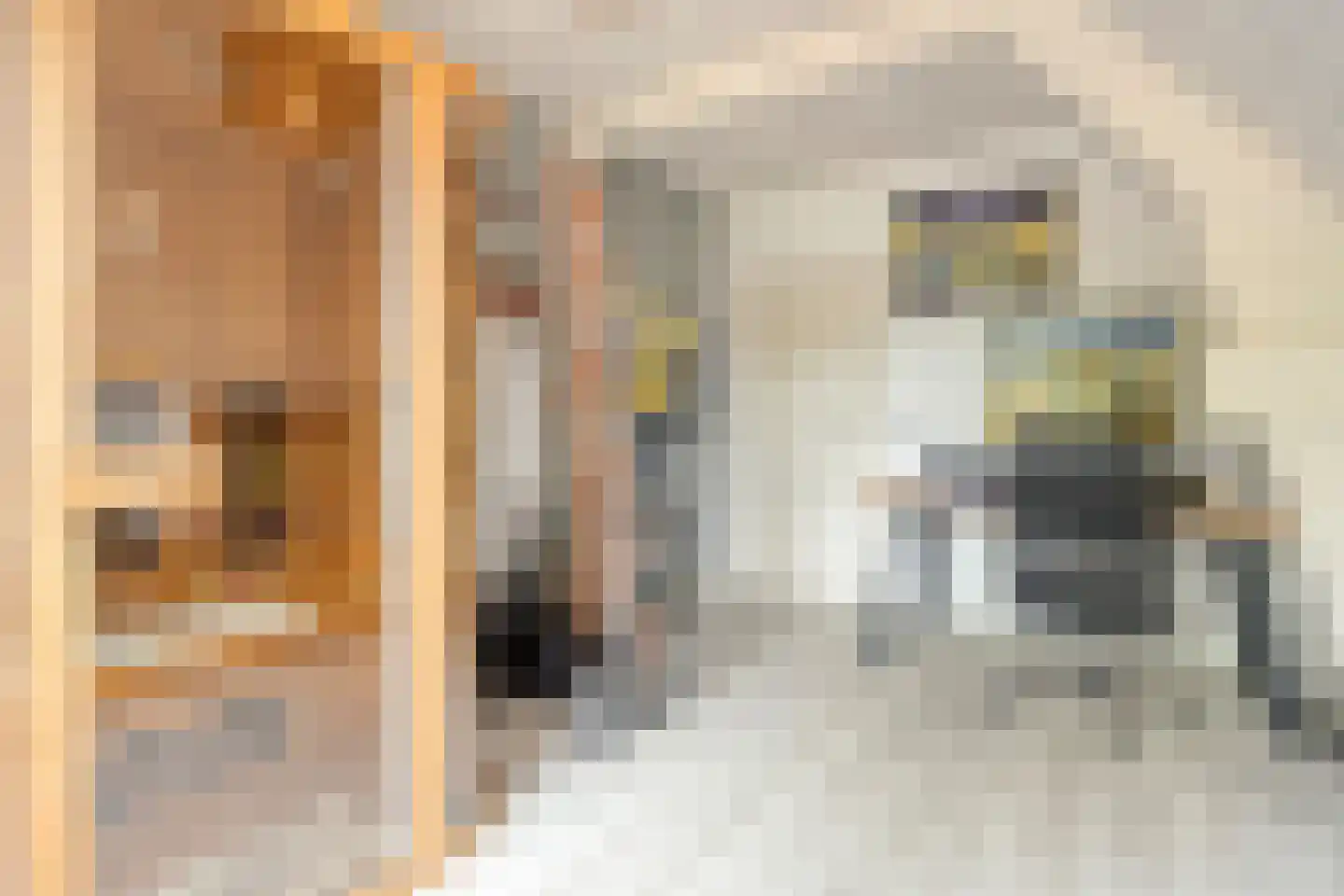 Bakkerstraat 57 Valkenswaard thumbnail 38