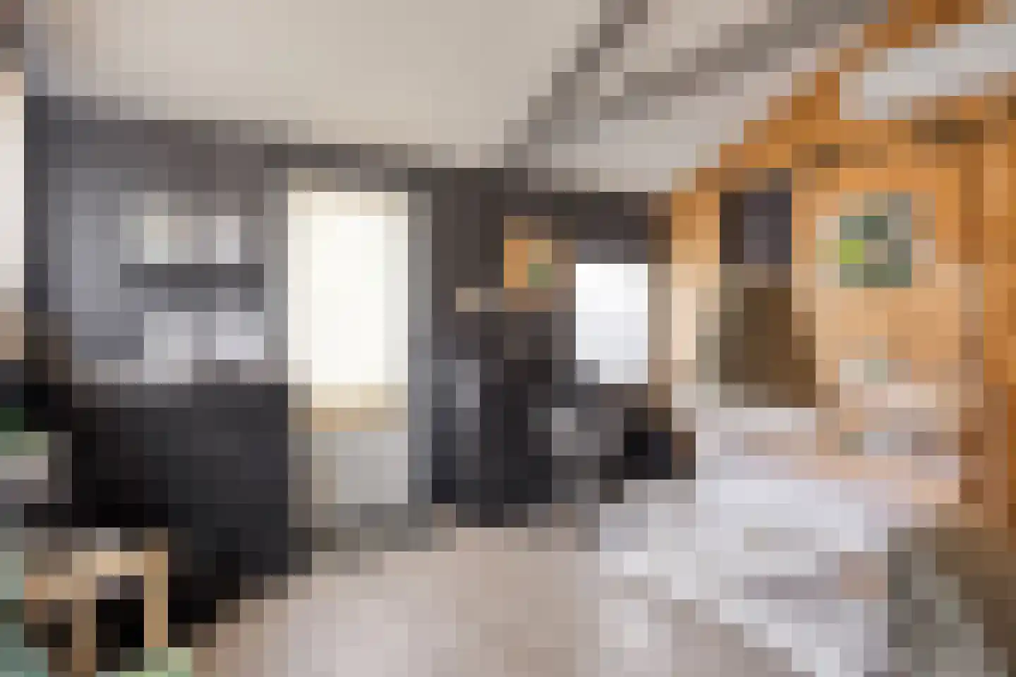 Bakkerstraat 57 Valkenswaard thumbnail 39