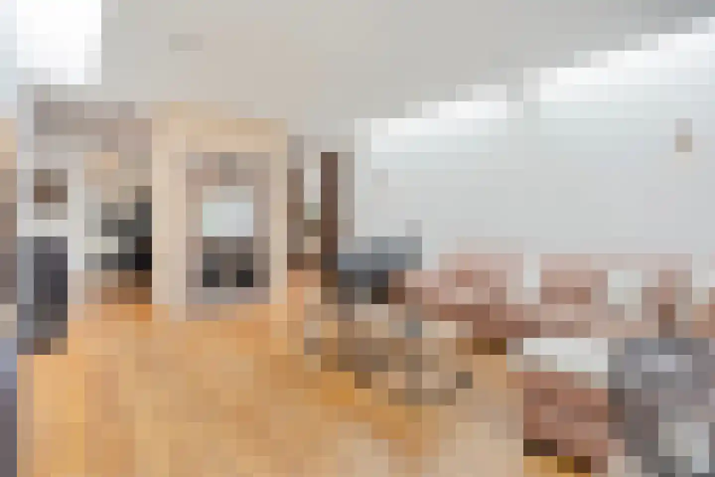 Bakkerstraat 57 Valkenswaard thumbnail 4