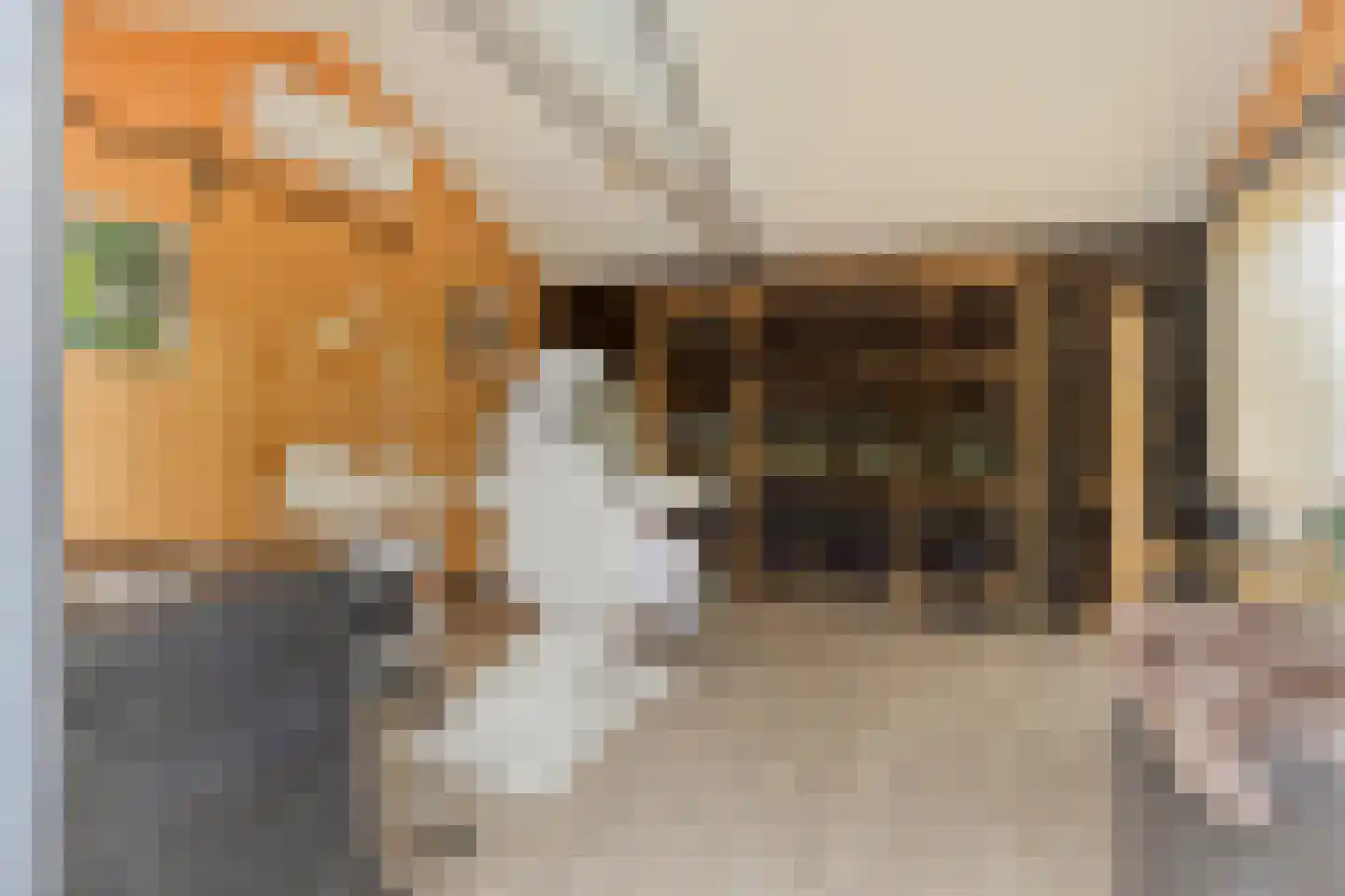 Bakkerstraat 57 Valkenswaard thumbnail 40