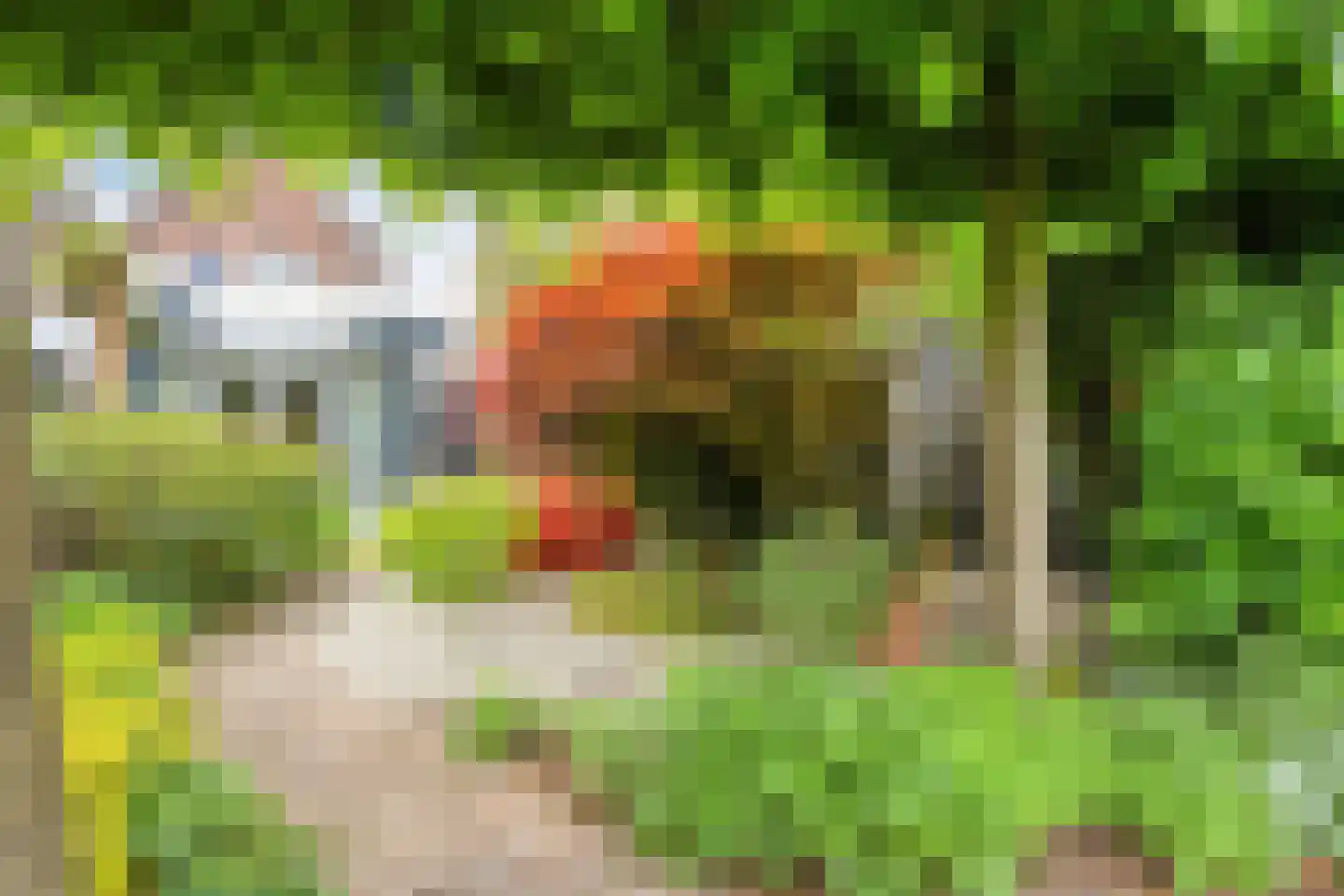 Bakkerstraat 57 Valkenswaard thumbnail 43