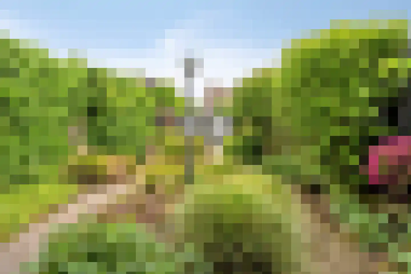 Bakkerstraat 57 Valkenswaard thumbnail 45