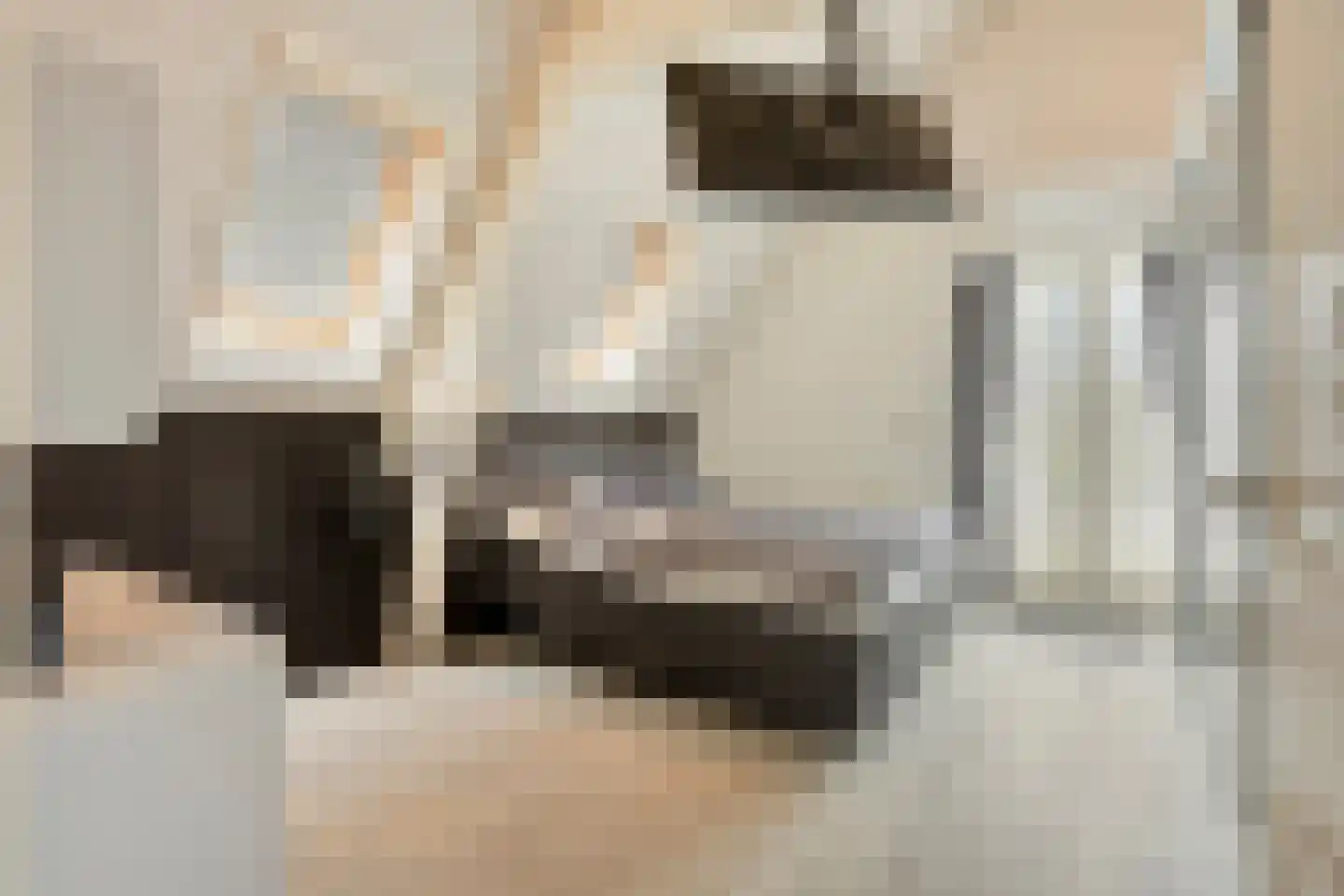 Bakkerstraat 57 Valkenswaard thumbnail 5