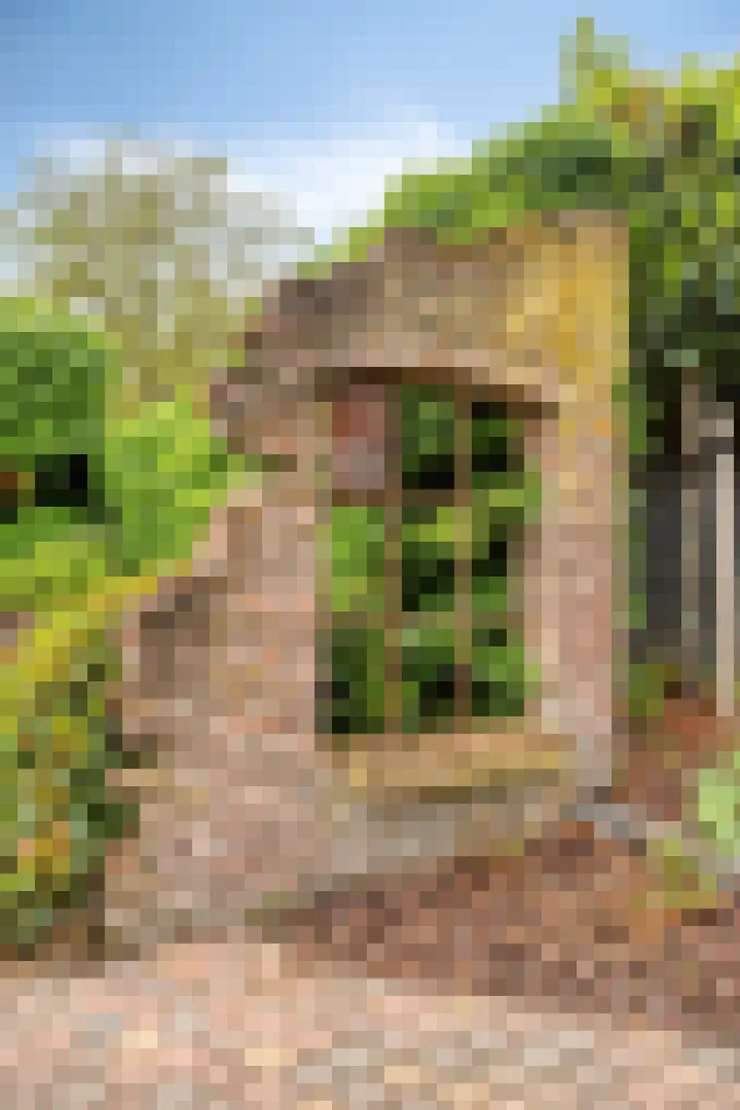 Bakkerstraat 57 Valkenswaard thumbnail 54