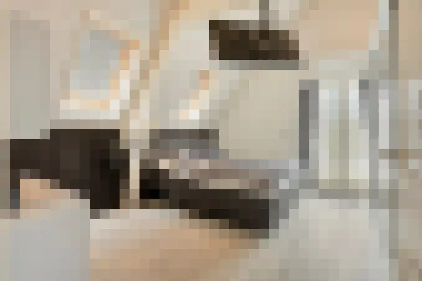 Bakkerstraat 57 Valkenswaard thumbnail 6