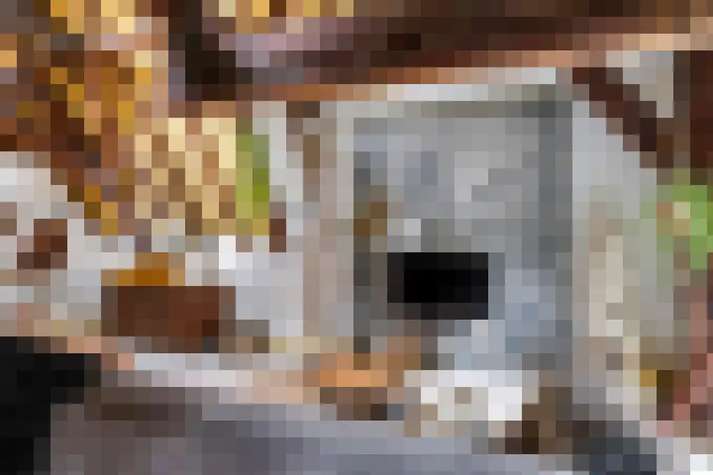 Bakkerstraat 60 3 Arnhem thumbnail 12