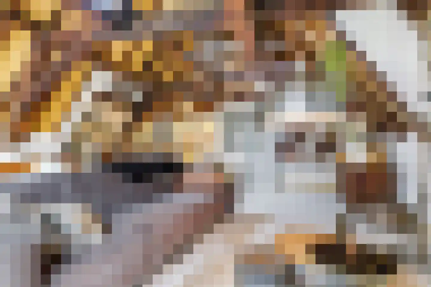Bakkerstraat 60 3 Arnhem thumbnail 14