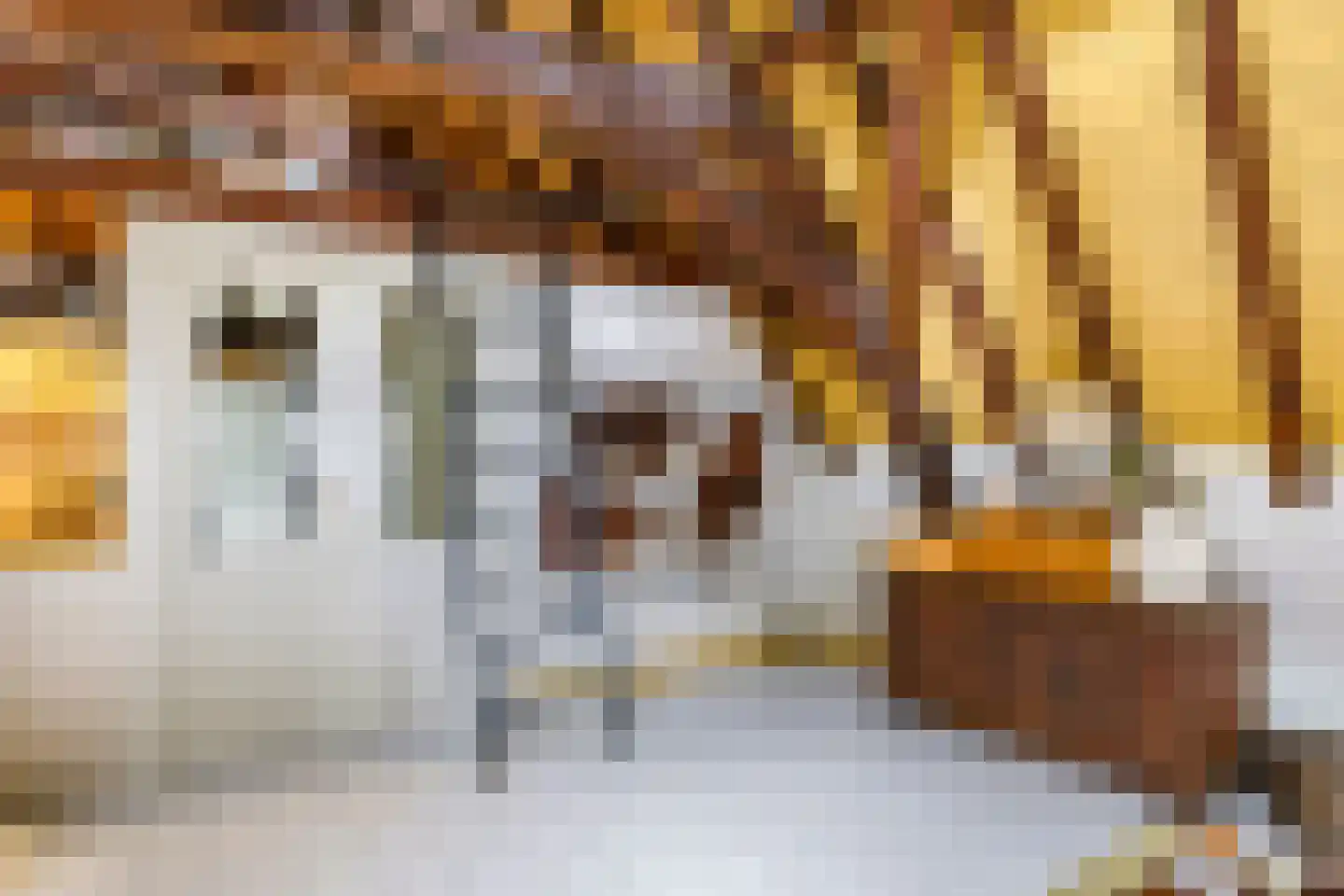 Bakkerstraat 60 3 Arnhem thumbnail 15
