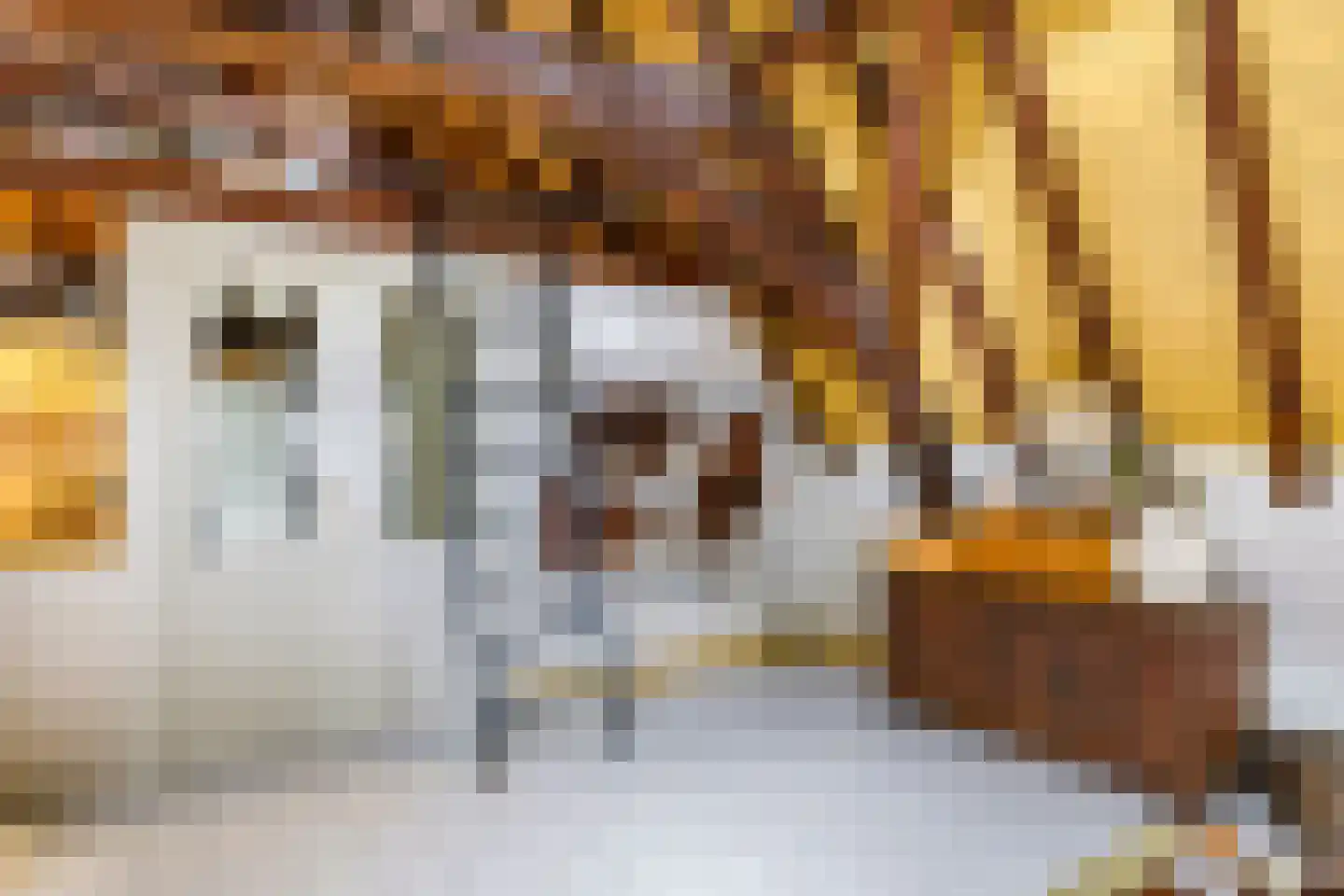 Bakkerstraat 60 3 Arnhem thumbnail 16