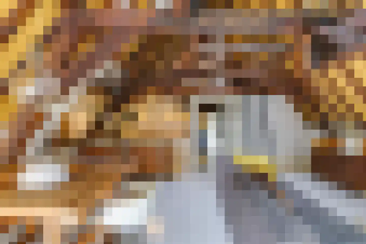Bakkerstraat 60 3 Arnhem thumbnail 23