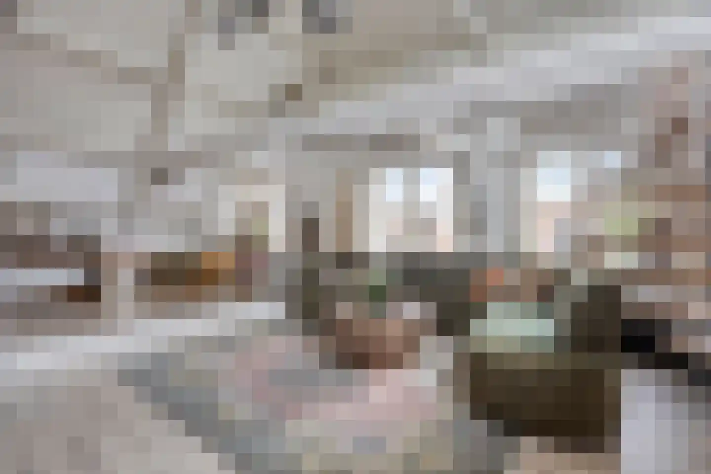 Bakkerstraat 62 5 Arnhem thumbnail 10