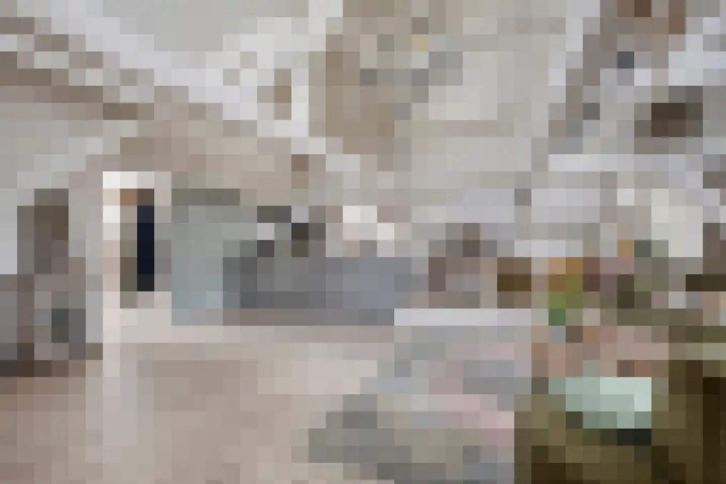 Bakkerstraat 62 5 Arnhem thumbnail 5