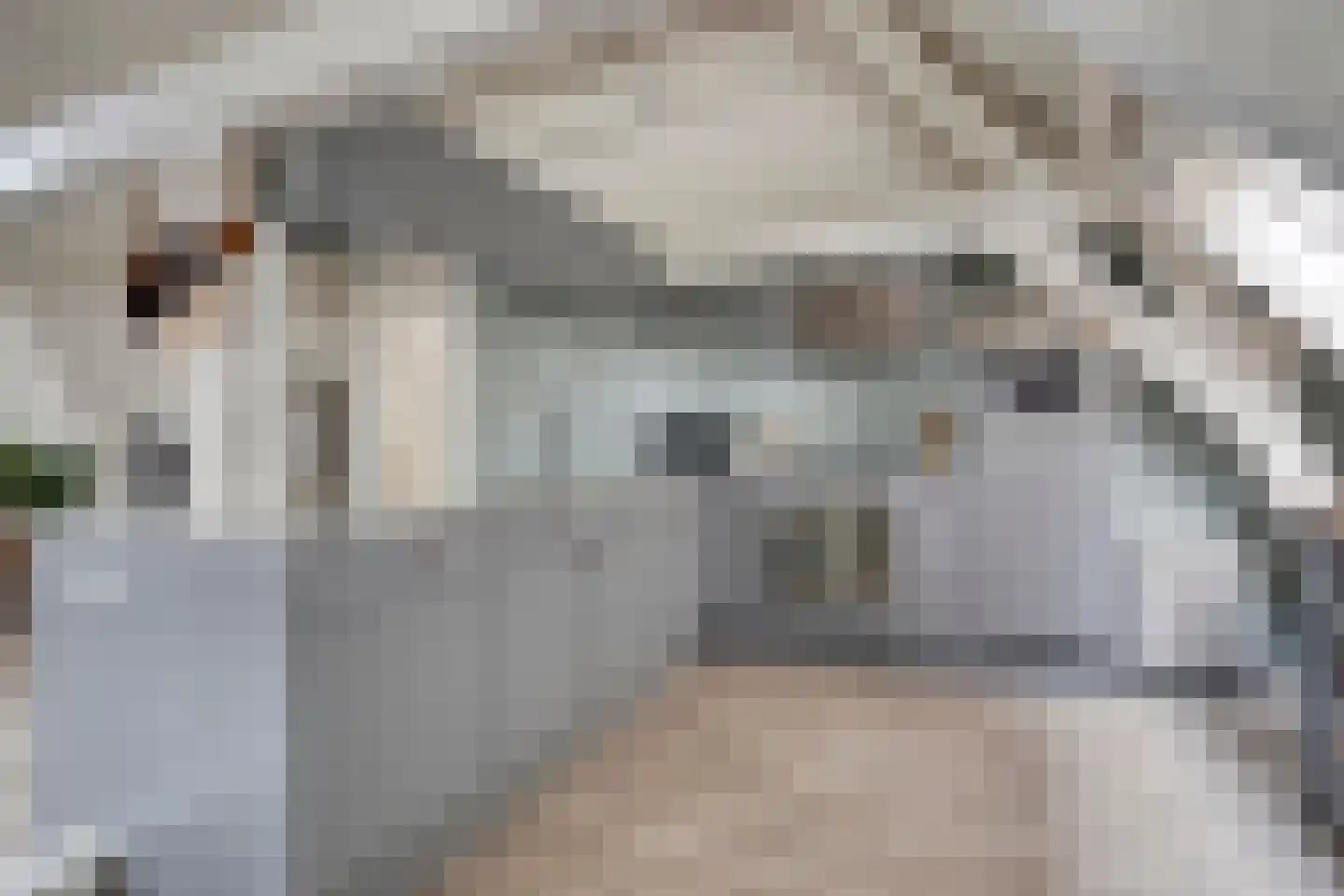 Bakkerstraat 62 5 Arnhem thumbnail 7