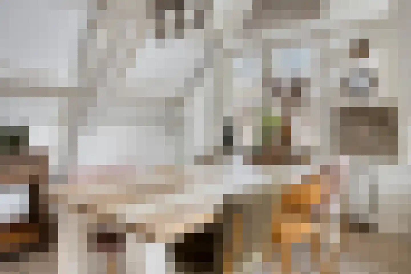 Bakkerstraat 62 5 Arnhem thumbnail 8