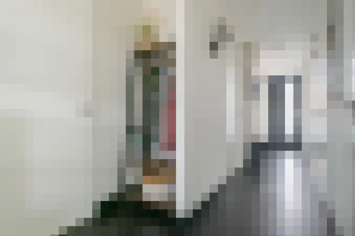 Bakkerstraat 63 Putten thumbnail 33