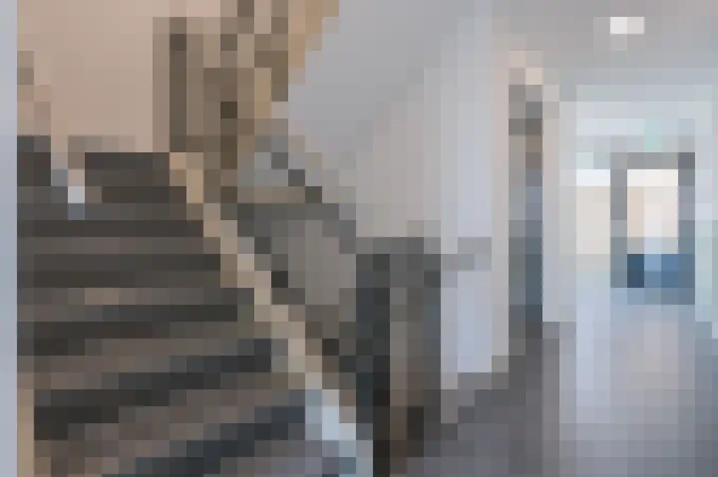 Bakkerstraat 63 Putten thumbnail 37