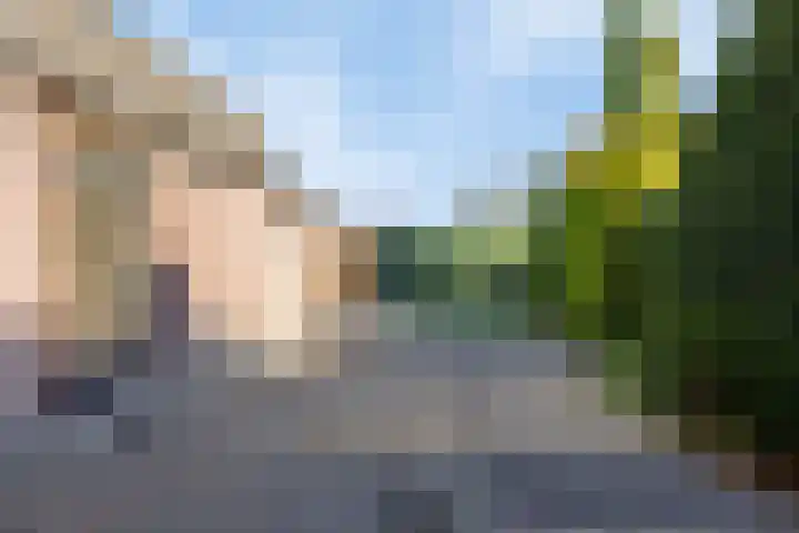 Bakkerstraat 63 Valkenswaard thumbnail 18