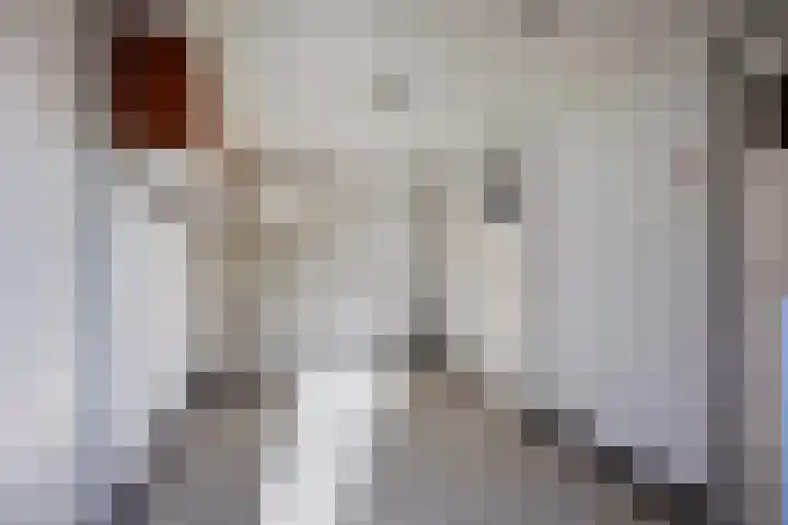 Bakkerstraat 63 Valkenswaard thumbnail 8