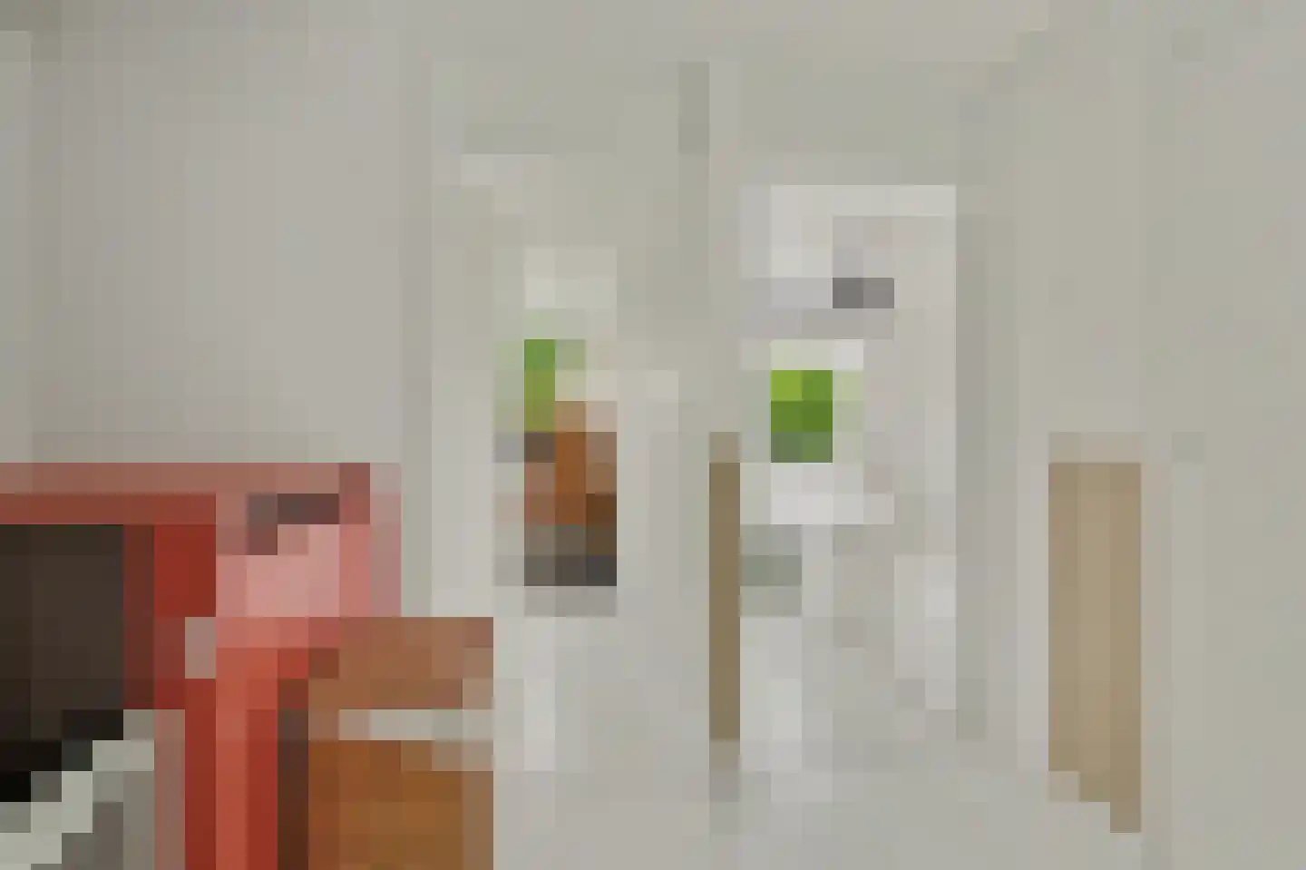 Bakkerstraat 66 Alkmaar thumbnail 15