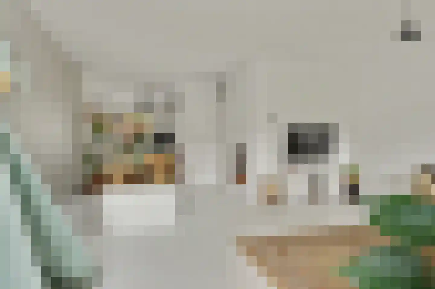 Bakkerstraat 66 Alkmaar thumbnail 7