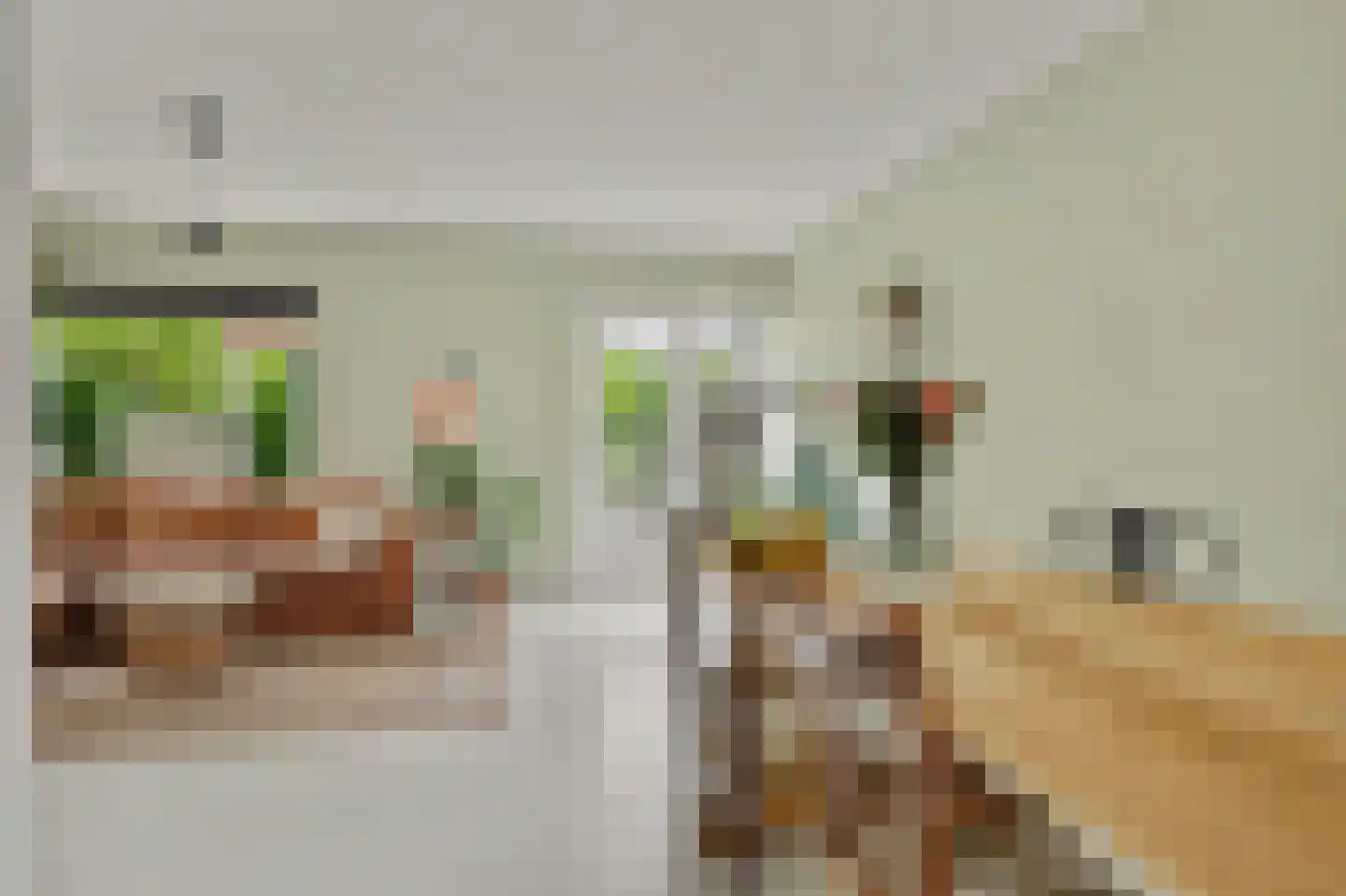 Bakkerstraat 66 Alkmaar thumbnail 9