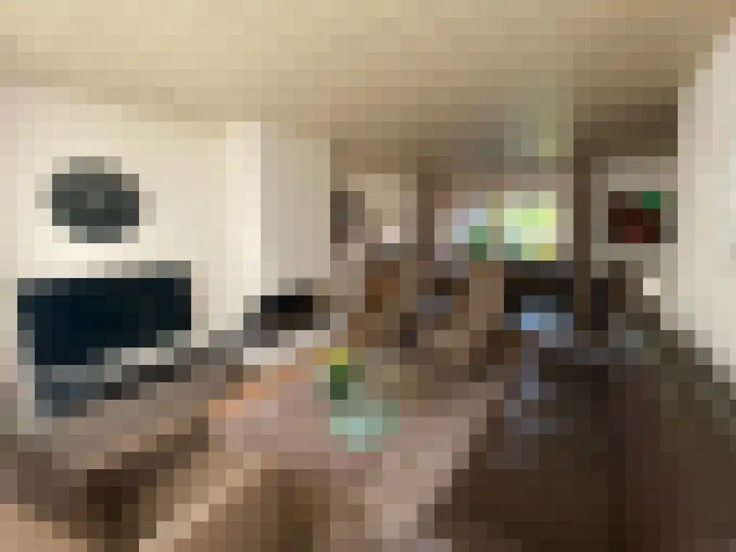 Bakkerstraat 7 Reusel thumbnail 15