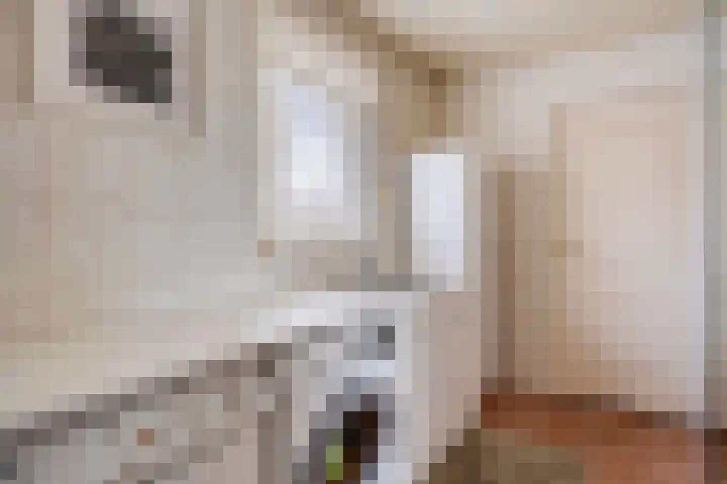 Bakkerstraat 7 Reusel thumbnail 25