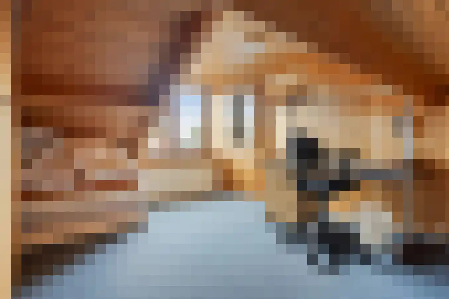 Bakkerstraat 7 Reusel thumbnail 26
