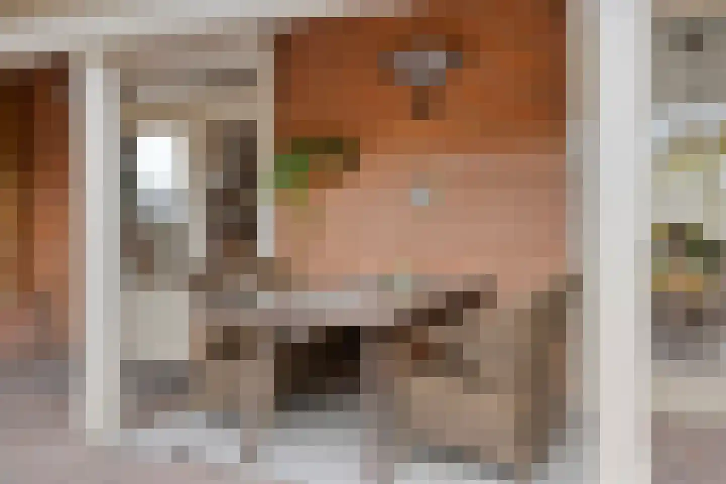 Bakkerstraat 7 Reusel thumbnail 30