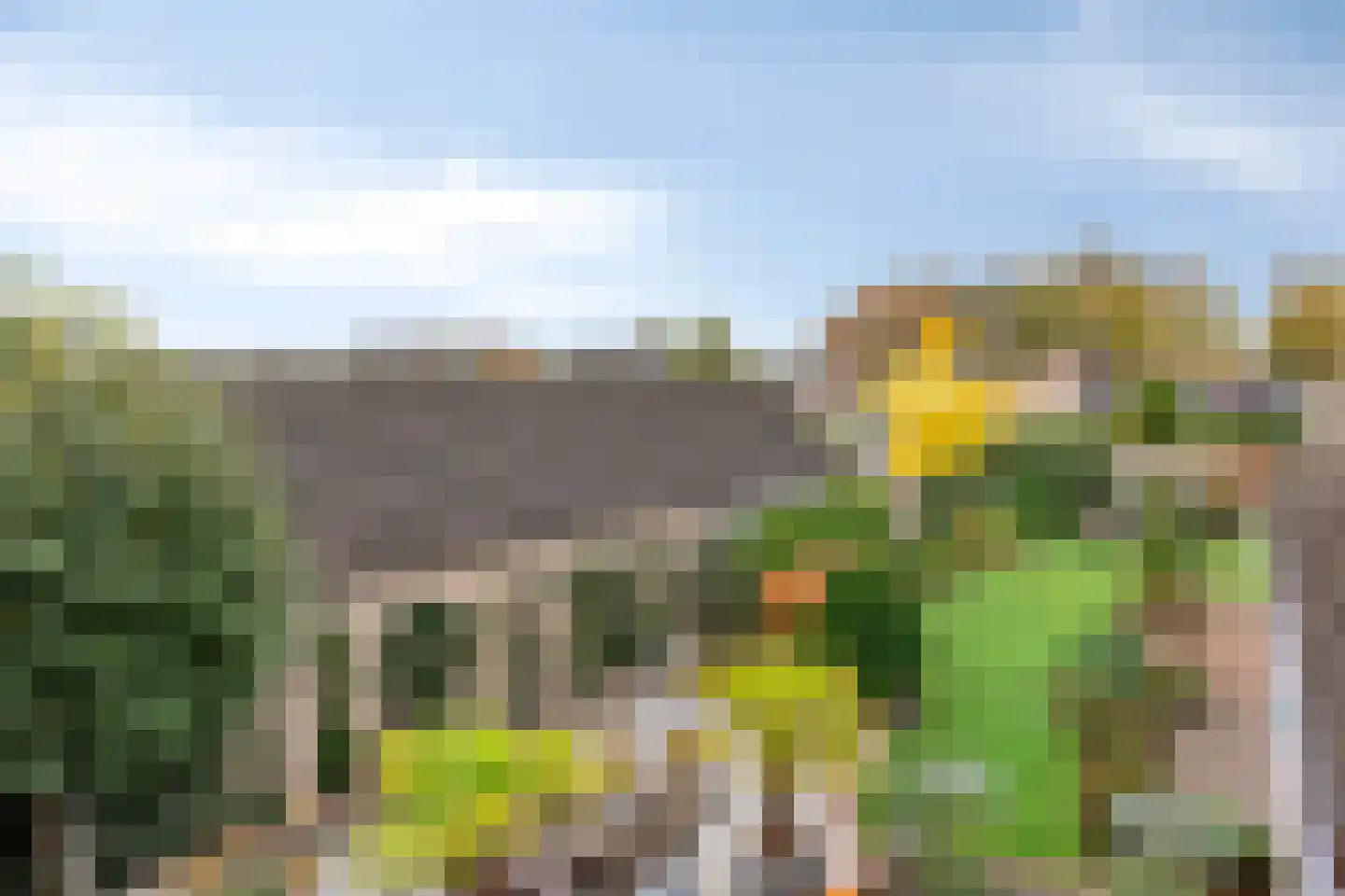 Bakkerstraat 7 Reusel thumbnail 35