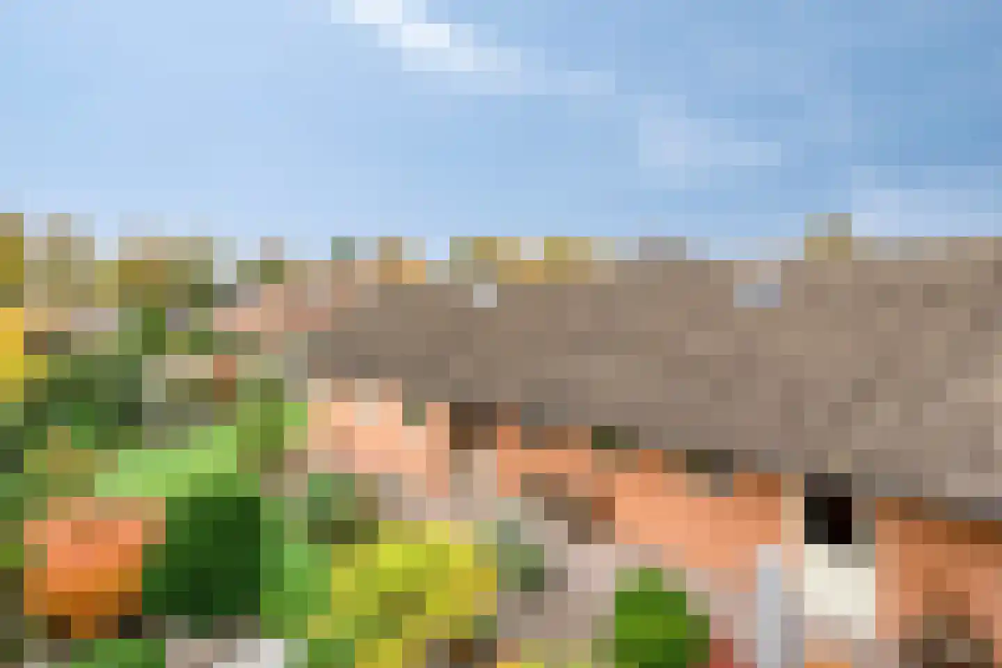 Bakkerstraat 7 Reusel thumbnail 36