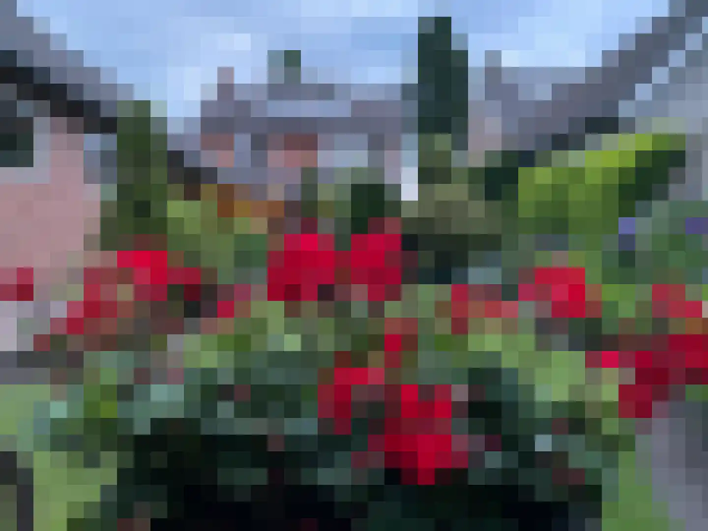 Bakkerstraat 7 Reusel thumbnail 37