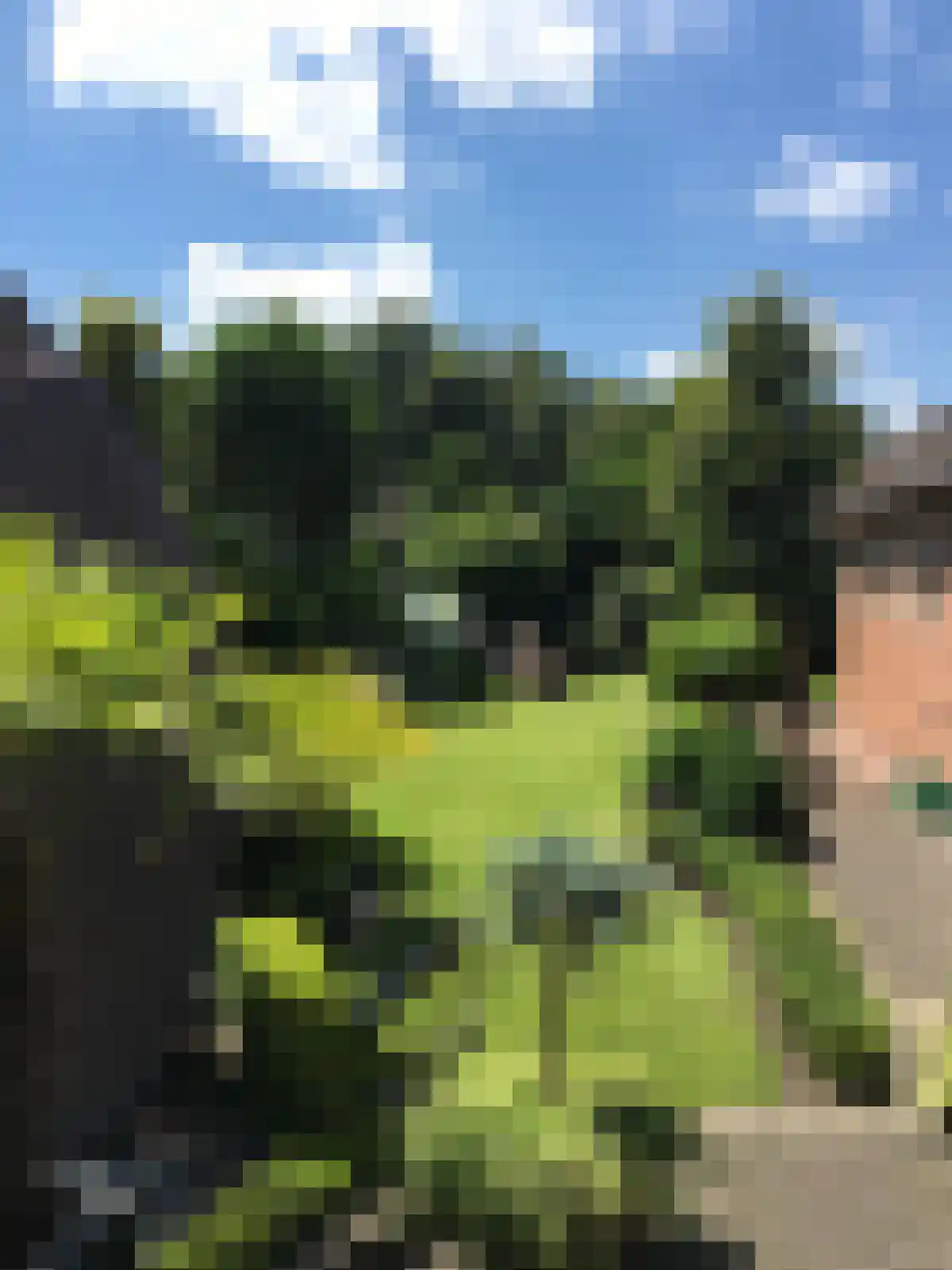 Bakkerstraat 7 Reusel thumbnail 37