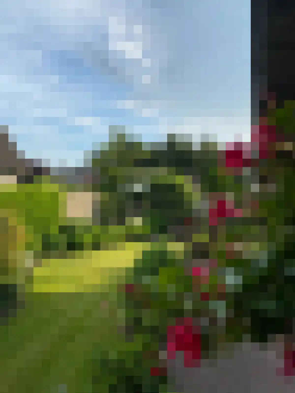 Bakkerstraat 7 Reusel thumbnail 38