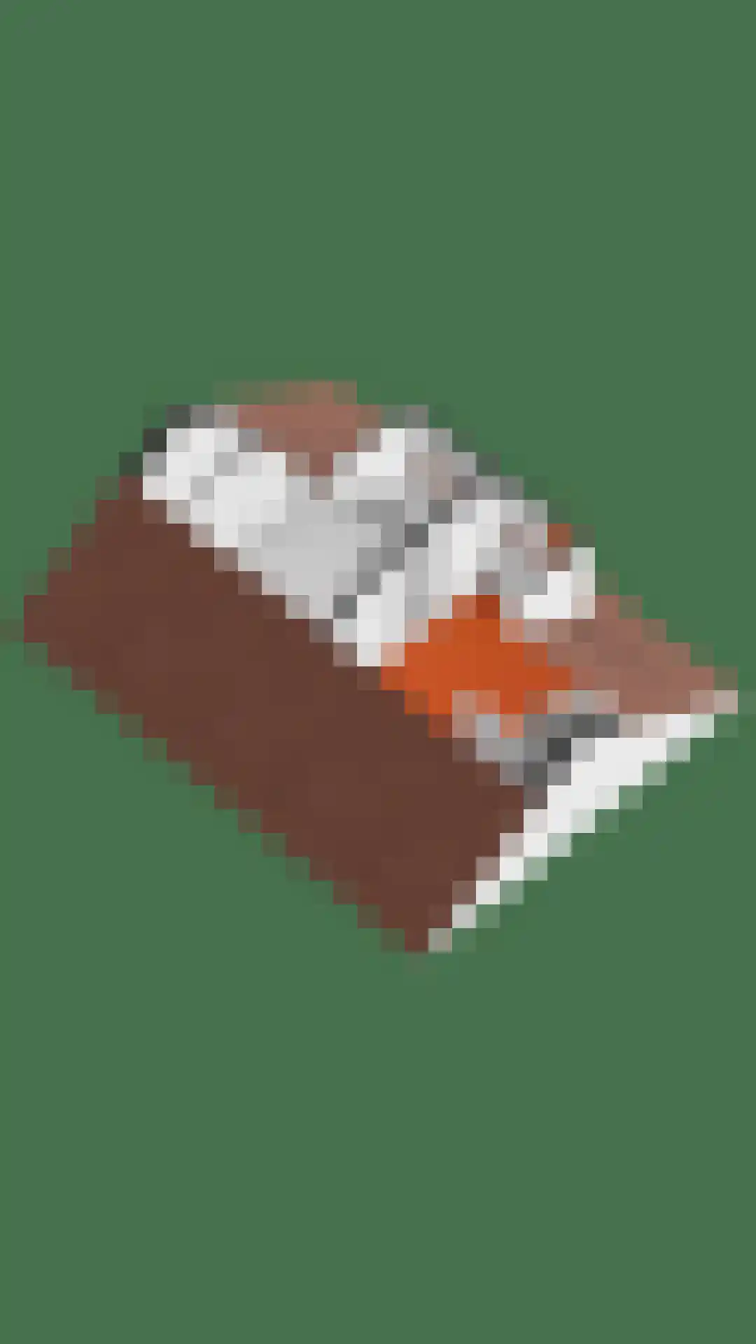 Bakkerstraat 7 Reusel thumbnail 52