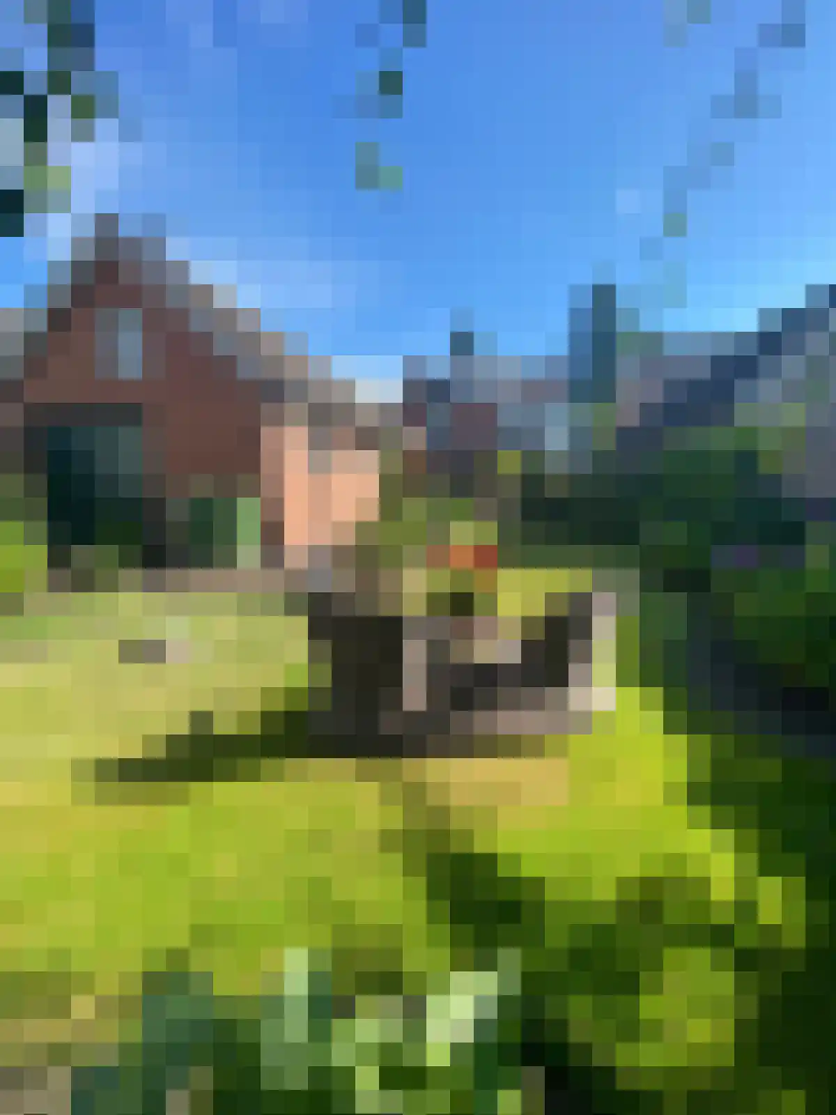 Bakkerstraat 7 Reusel thumbnail 7