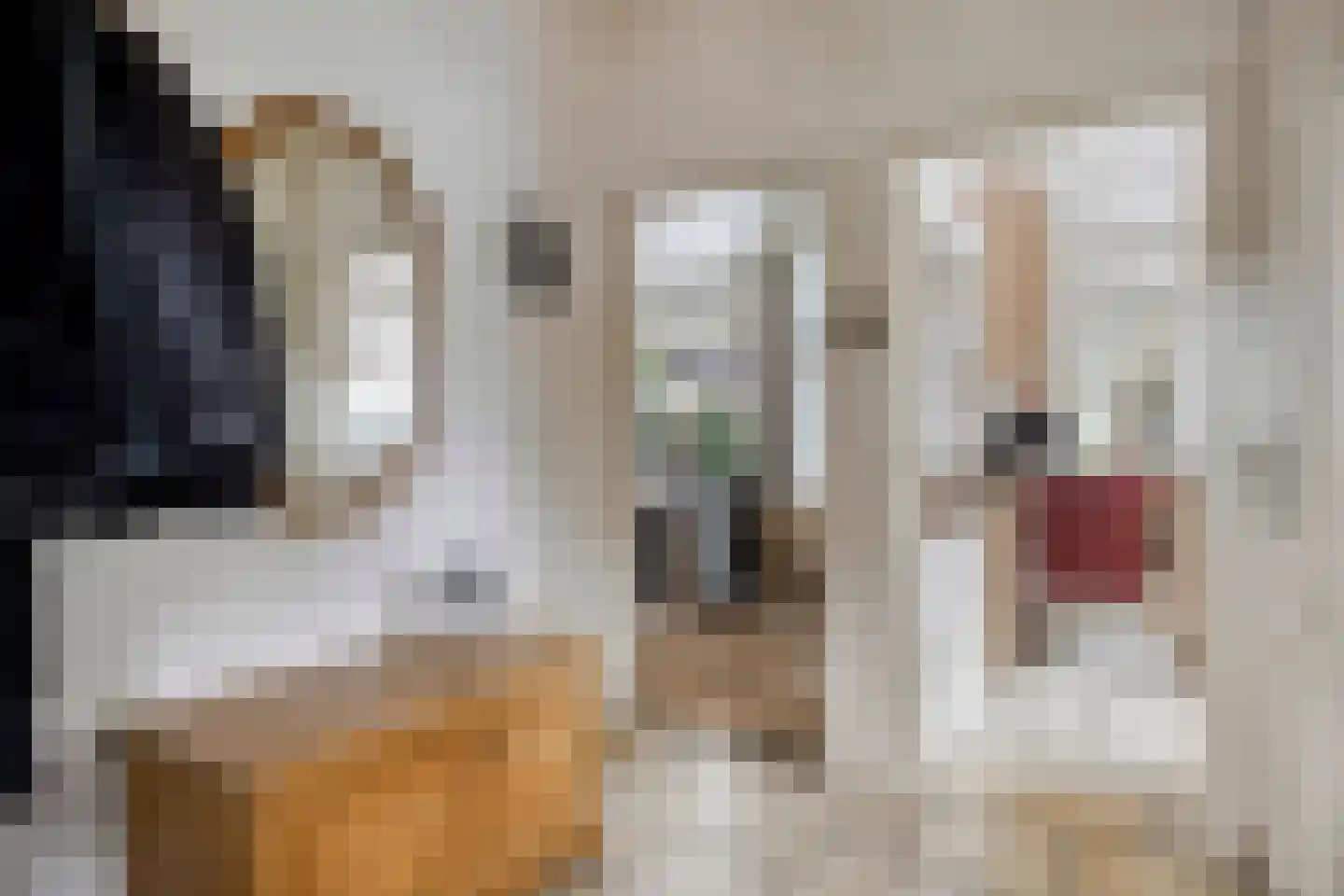 Bakkerstraat 7 Reusel thumbnail 9