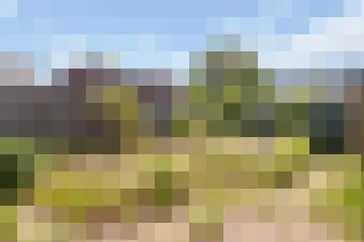 Bakkerstraat 74 Hilversum thumbnail 5