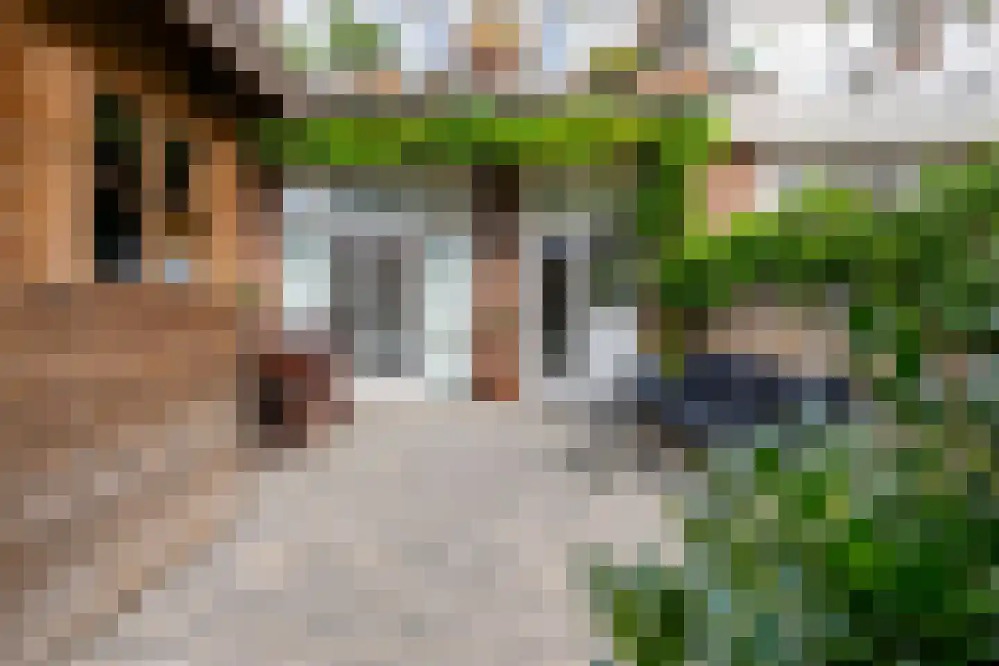 Bakkerstraat 74 ZW Haarlem thumbnail 25
