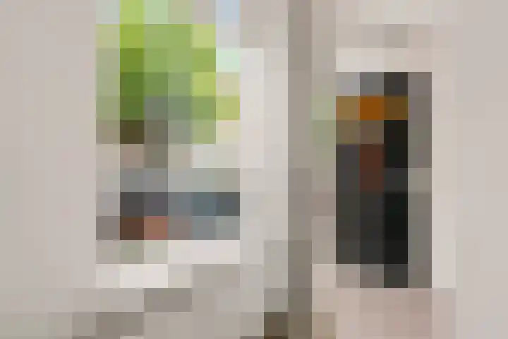 Bakkerstraat 76 ZW Haarlem thumbnail 10