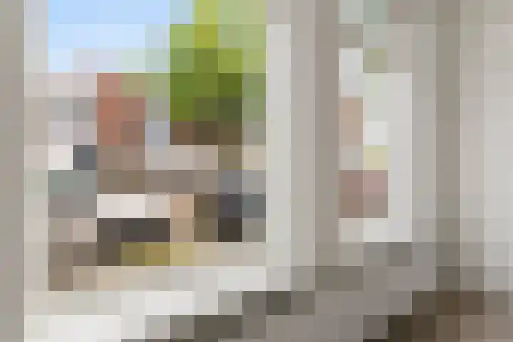 Bakkerstraat 76 ZW Haarlem thumbnail 5