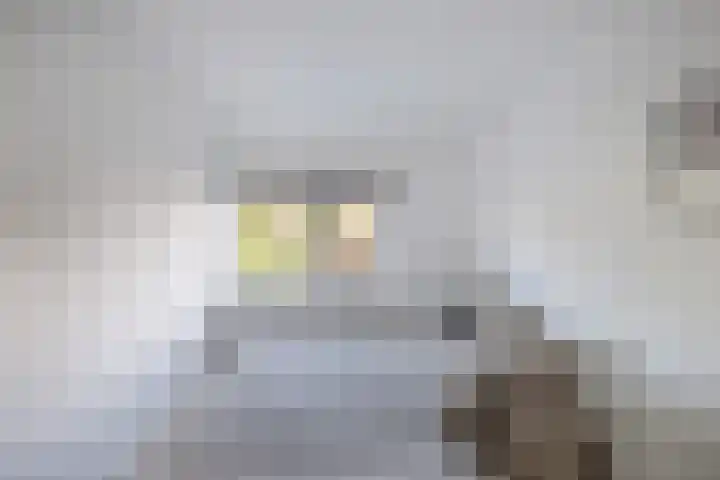 Bakkerstraat 87 Hilversum thumbnail 22