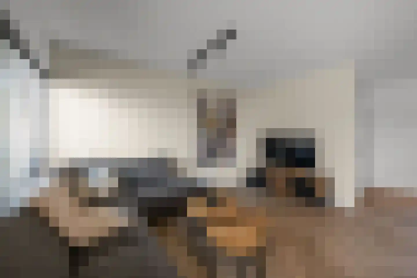 Bakkerstraat 9 Alkmaar thumbnail 5