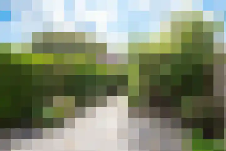 Bakkerstraat 91 Alkmaar thumbnail 25